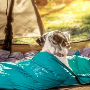 Ultralight Dog Sleeping Bag