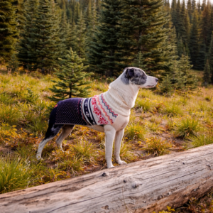 Poulsbo Nordic Dog Sweater