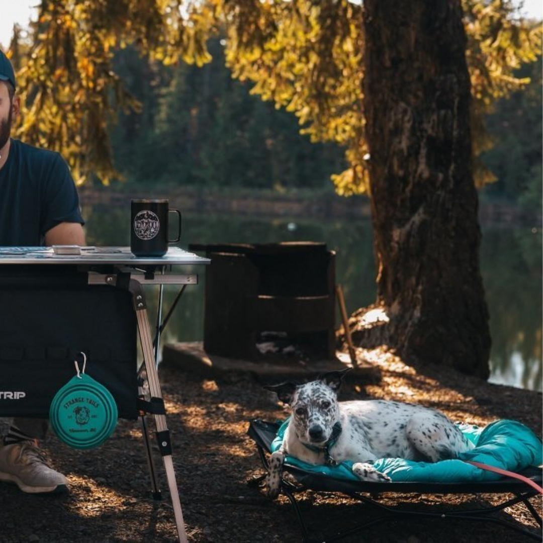 Tahoma Dog Sleeping Bag - Image 12