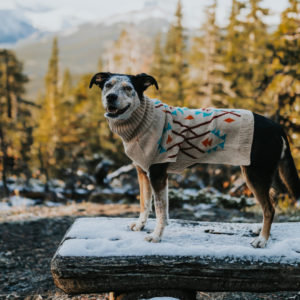 Loowit Indigenous Dog Sweater
