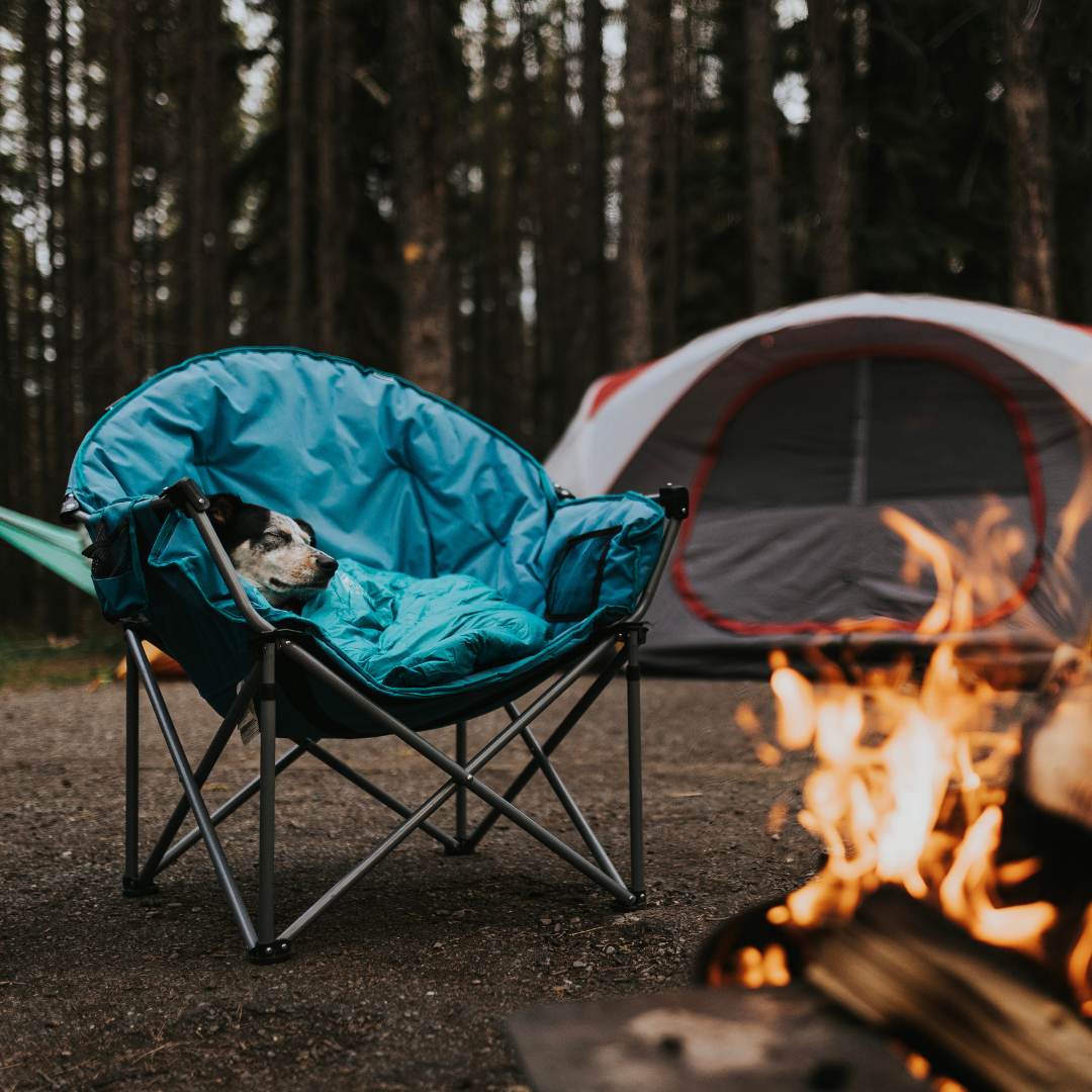 Tahoma Dog Sleeping Bag - Image 10