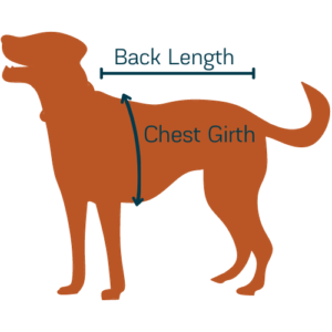 Dog Sweater Sizing